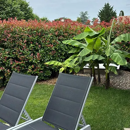 Magnifique Piscine Au Coeur De *